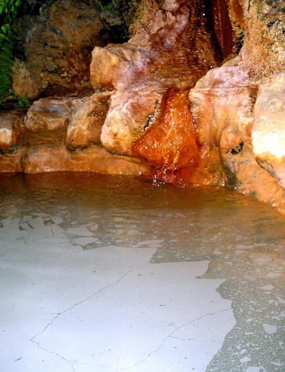Yunosawakan Maebashi Ngoại thất bức ảnh